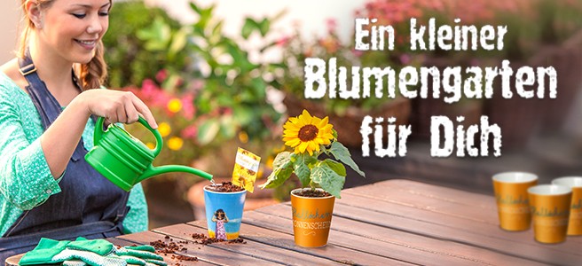 fuer_dich_vielfalt_blumengarten_panorama-c5342952
